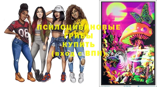 мяу мяу мука Алексин