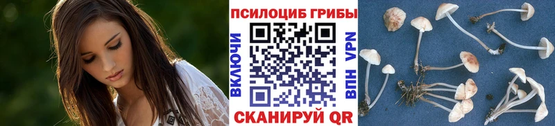 цена наркотик  mega ТОР  Галлюциногенные грибы мухоморы  Бабушкин 